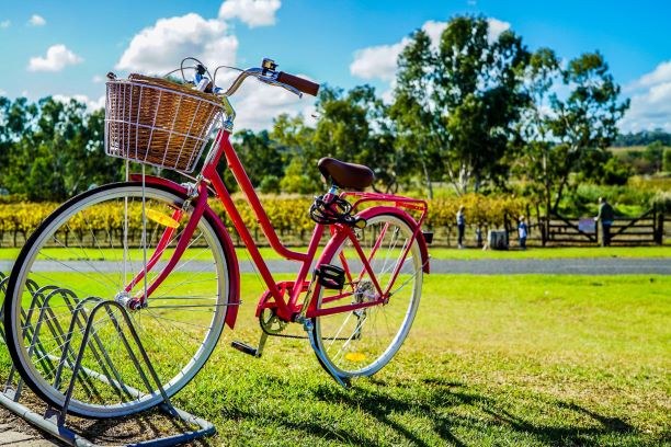 vélo de location